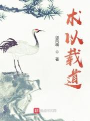 术为道用