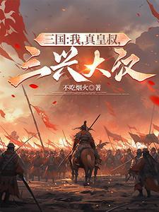 三兴大汉动画