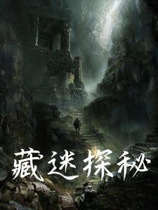 藏迷探秘gl