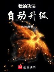 我的功法自动升级吧