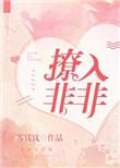 撩入非非韩智