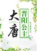 大唐晋阳公主249集免费观看