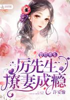 狂撩高冷总裁老公