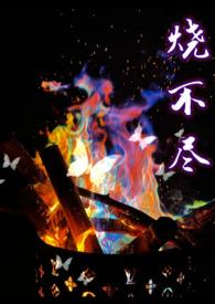 烧不尽免费阅读