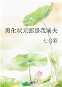 黑化状元郎是我前夫宝书网
