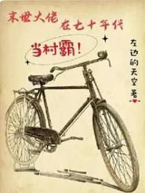 末世大佬在七十年代当村霸左边的天空