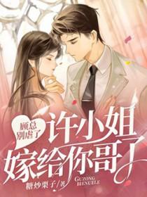 许小姐嫁给你哥了全文免费阅读