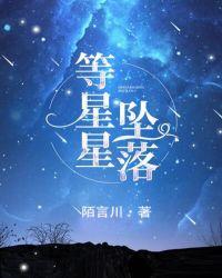 等星星坠落无删减笔趣阁婚姻合伙人