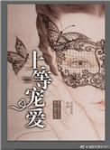 上等宠爱知乎李陵