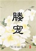 媵宠全文txt百度