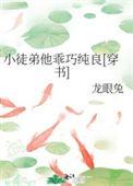 徒弟太乖了怎么办 作者lililyly