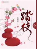 踏枝 玖拾陆免费阅读