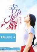 幸孕宠婚洛云烟