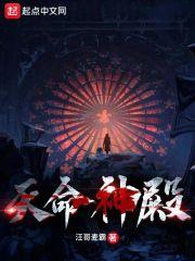 天命神殿修改命图的