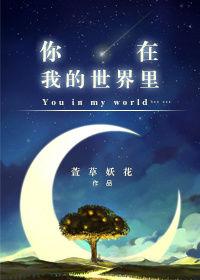 你在我的世界里无防盗章节