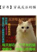 穿成反派的猫番外