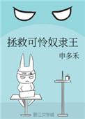 拯救可怜奴隶王 申多禾