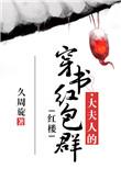 大夫人 书包网