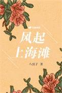 风起上海滩40集免费播放