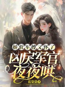 娇软军嫂又怀了凶戾军官夜夜哄