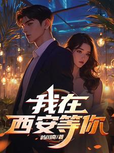 我在西安等你大结局剧情介绍