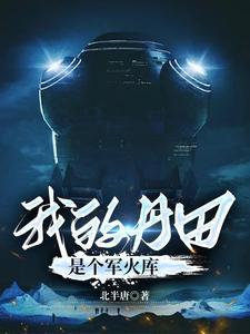 我的丹田是个军火库TXT奇书网最新章节列表