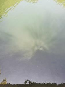 午夜超惊悚故事男主最后和谁在一起了啊