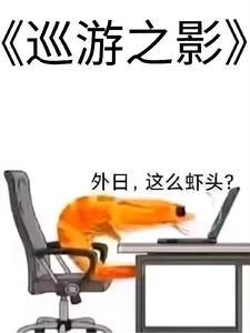 巡游者对