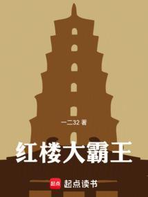 红楼大霸王txt全本